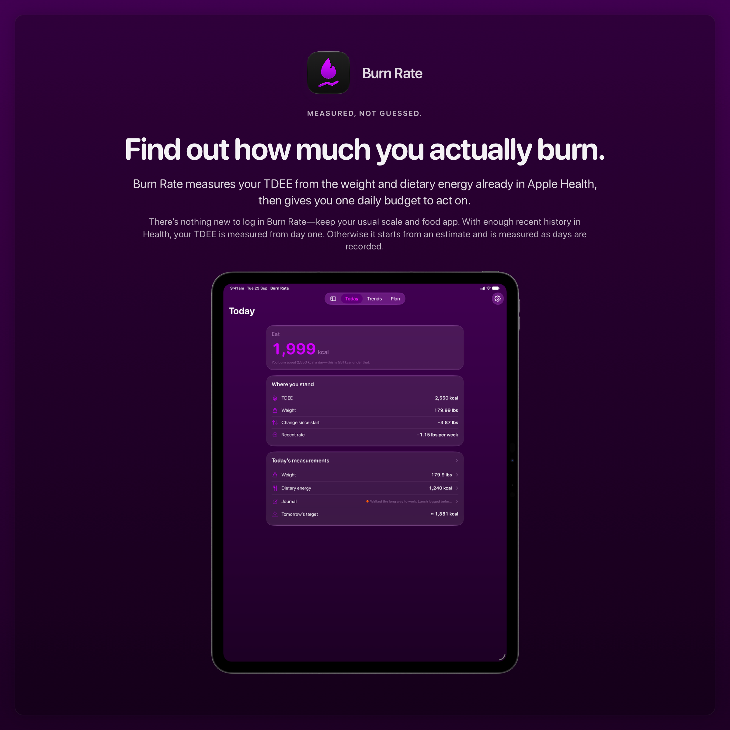 The Burn Rate share image, showing the app on iPad Pro 13-inch with its icon, name and headline for the loss story, in the Purple tint, dark appearance.