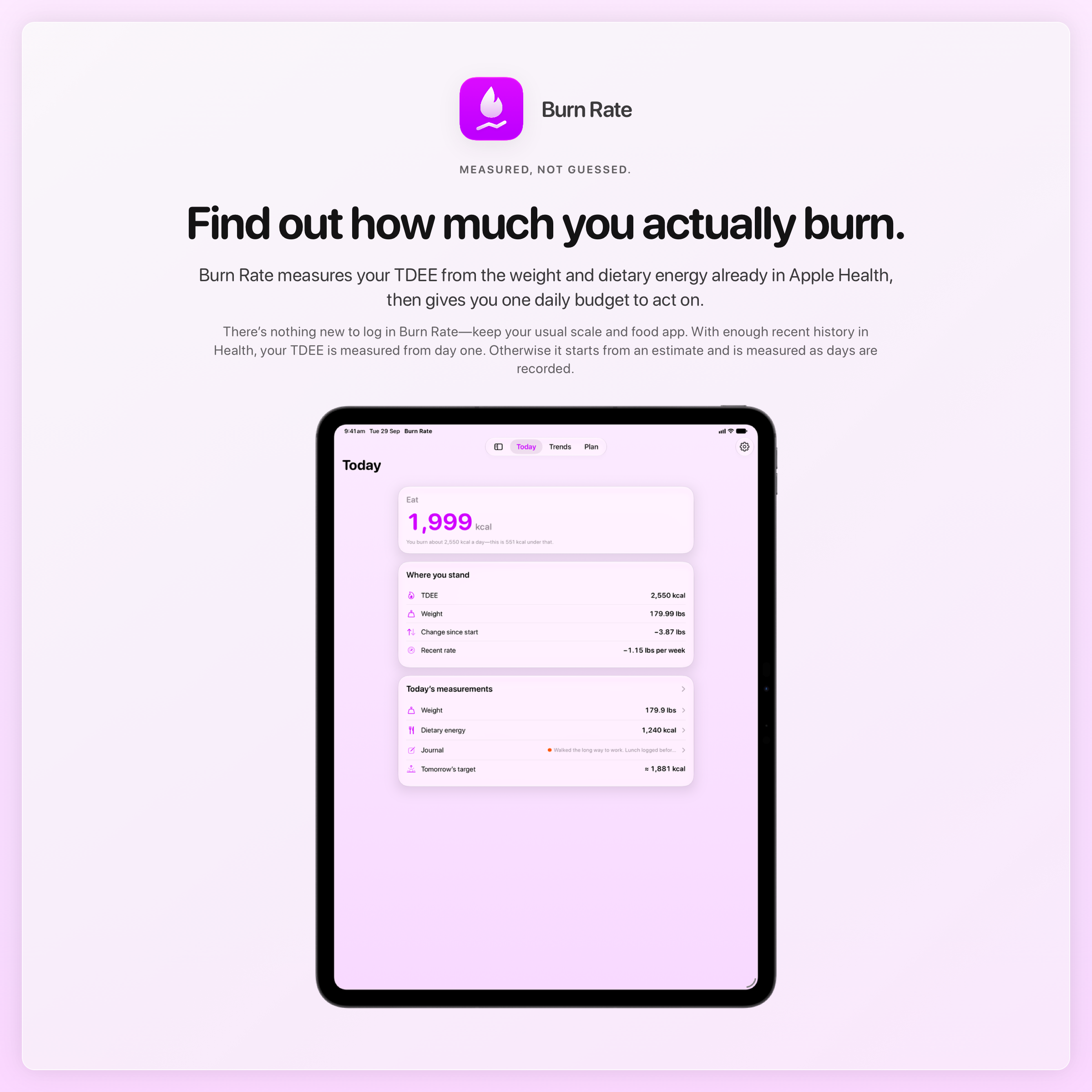 The Burn Rate share image, showing the app on iPad Pro 13-inch with its icon, name and headline for the loss story, in the Purple tint, light appearance.