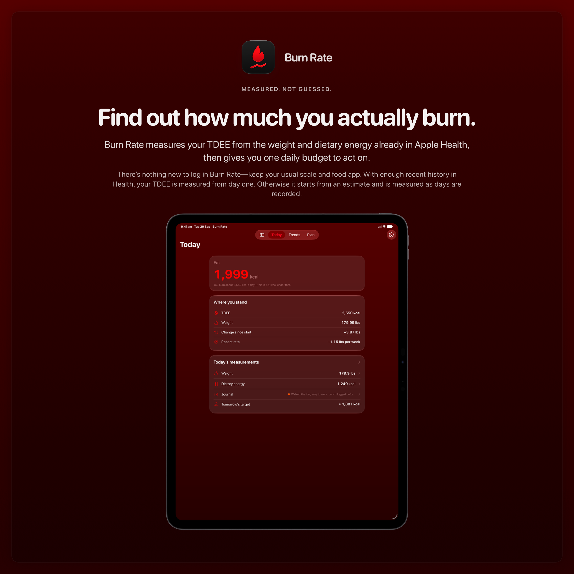 The Burn Rate share image, showing the app on iPad Pro 13-inch with its icon, name and headline for the loss story, in the Red tint, dark appearance.