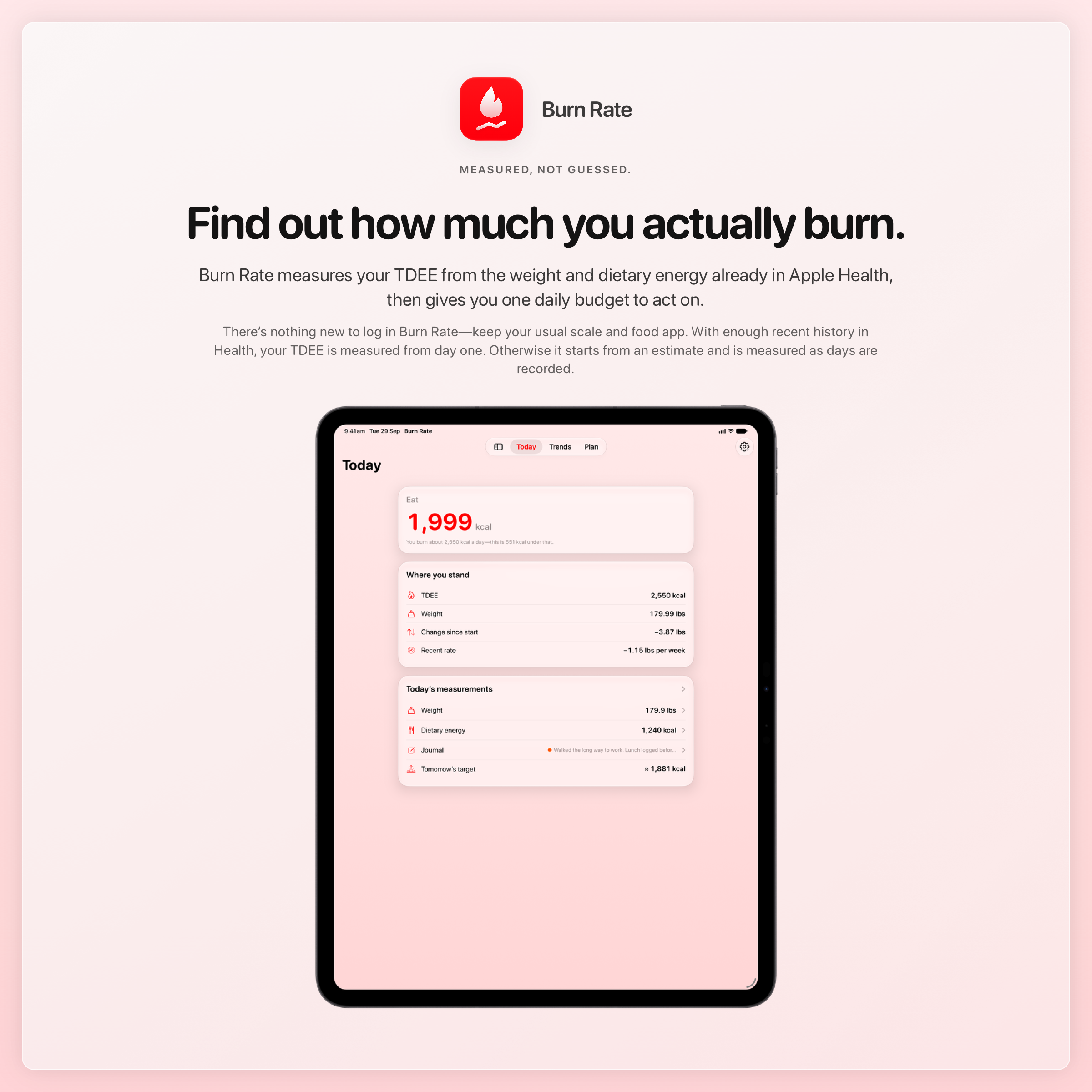 The Burn Rate share image, showing the app on iPad Pro 13-inch with its icon, name and headline for the loss story, in the Red tint, light appearance.