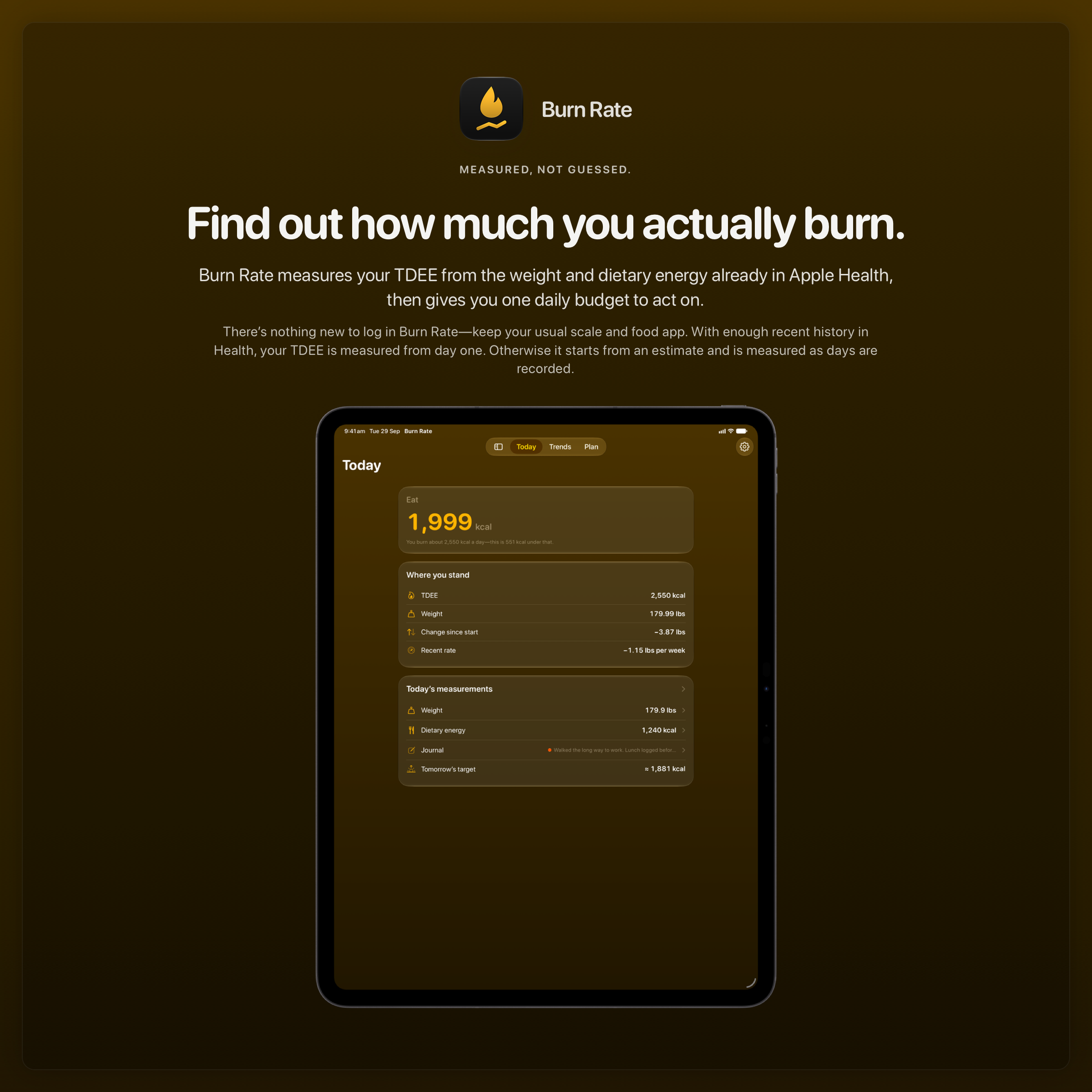 The Burn Rate share image, showing the app on iPad Pro 13-inch with its icon, name and headline for the loss story, in the Yellow tint, dark appearance.