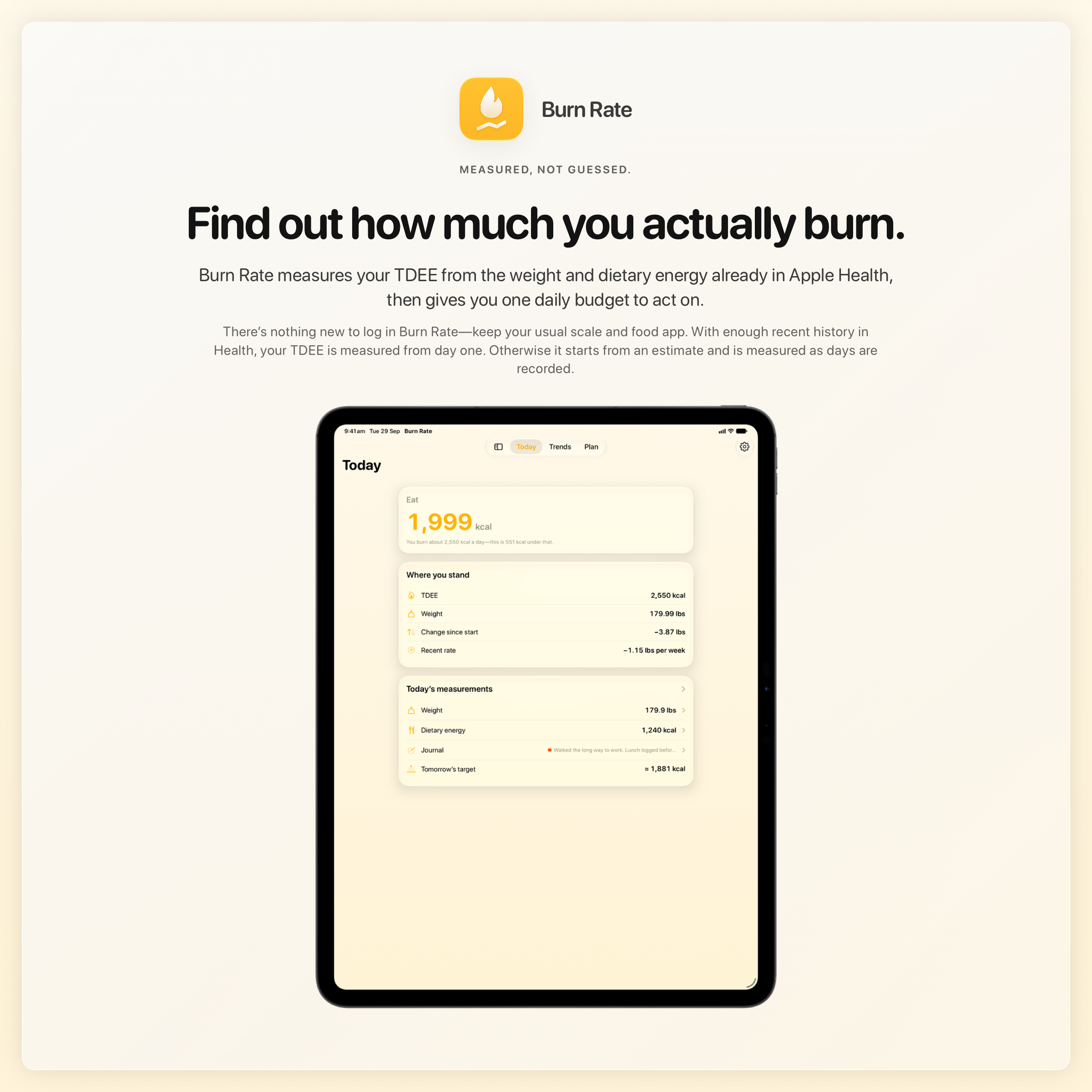 The Burn Rate share image, showing the app on iPad Pro 13-inch with its icon, name and headline for the loss story, in the Yellow tint, light appearance.