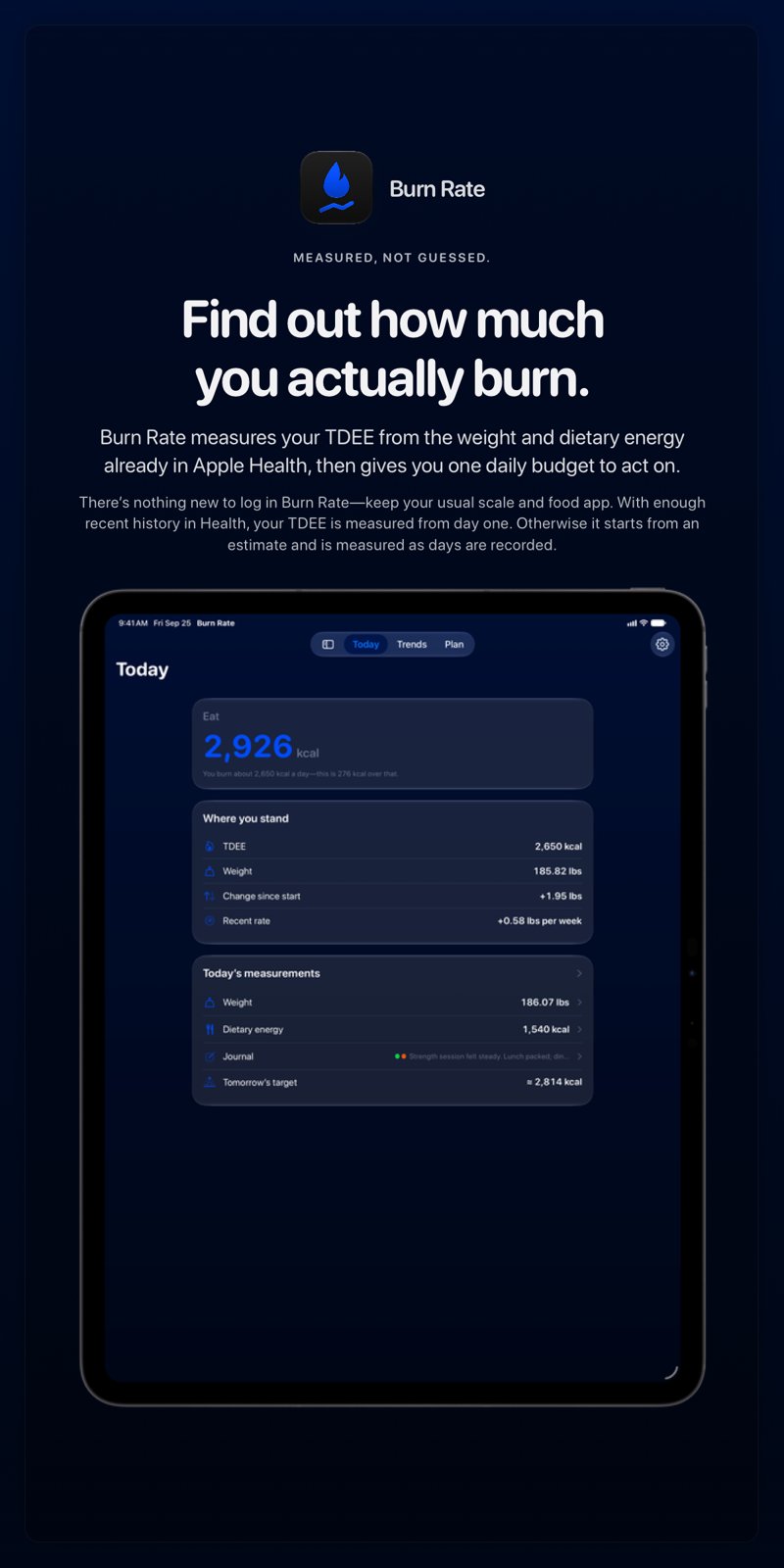 The Burn Rate share image, showing the app on iPad Pro 13-inch with its icon, name and headline for the gain story, in the Blue tint, dark appearance.