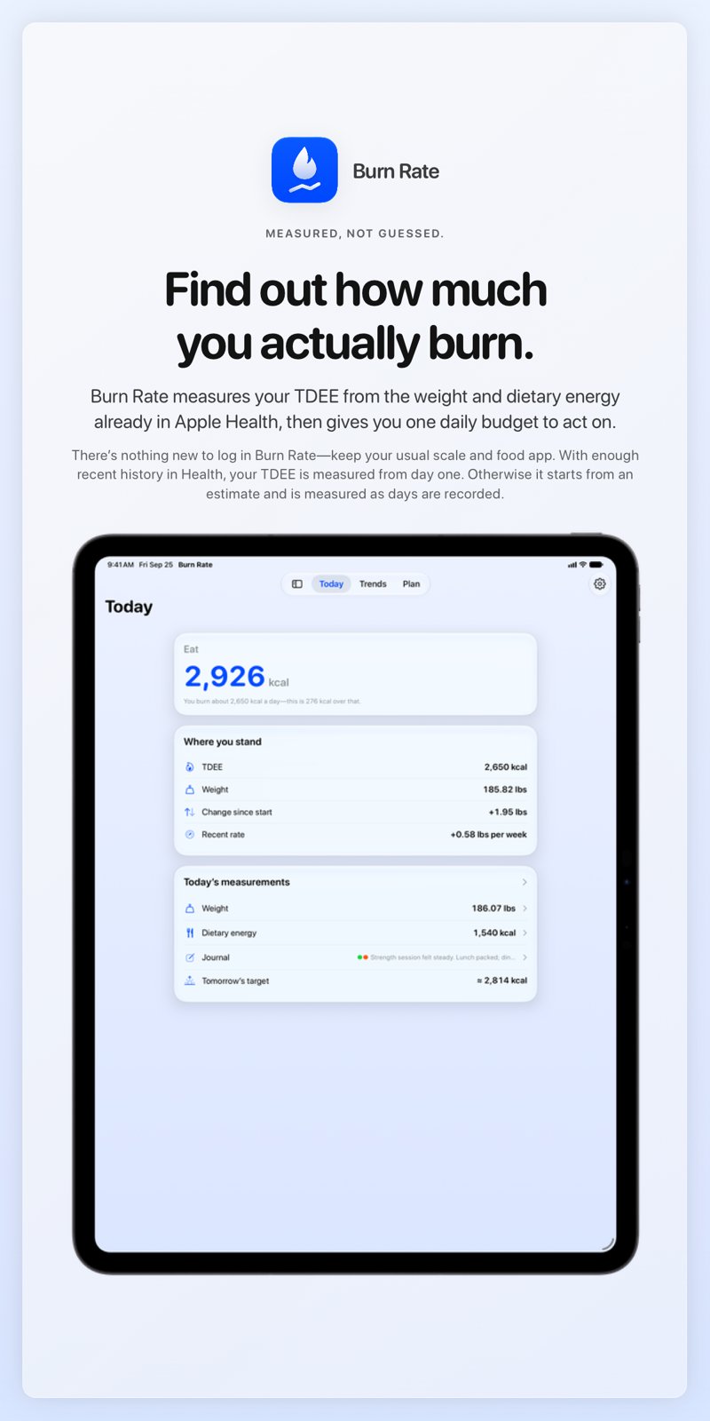 The Burn Rate share image, showing the app on iPad Pro 13-inch with its icon, name and headline for the gain story, in the Blue tint, light appearance.