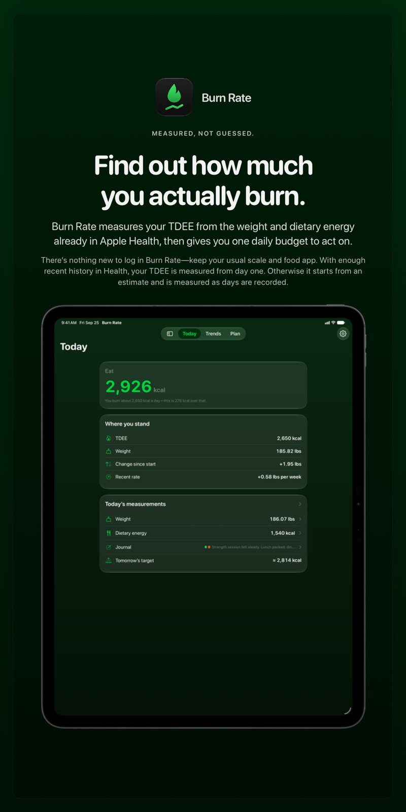 The Burn Rate share image, showing the app on iPad Pro 13-inch with its icon, name and headline for the gain story, in the Green tint, dark appearance.