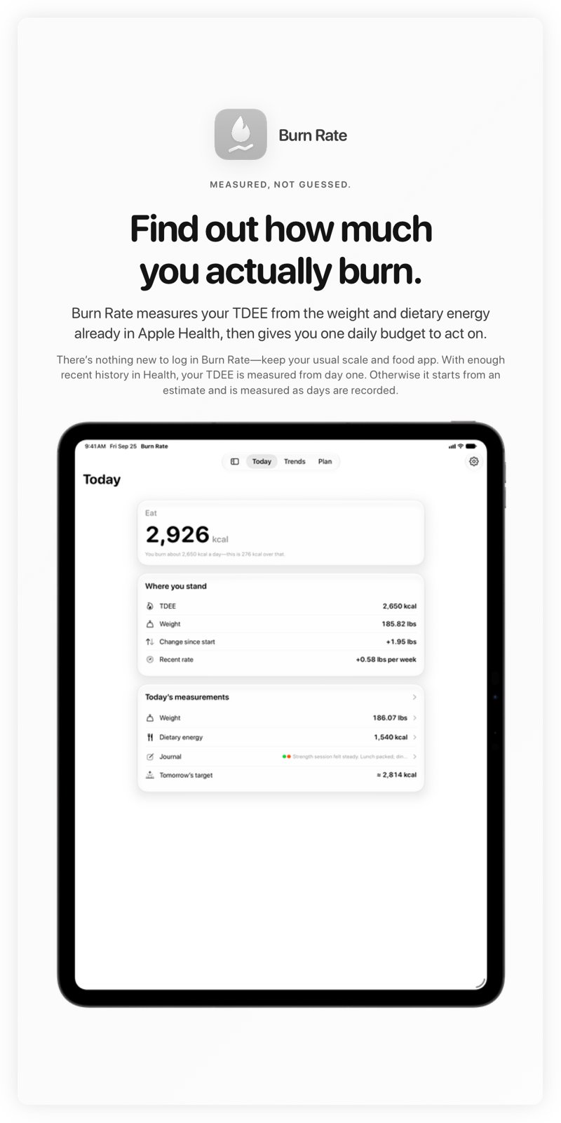 The Burn Rate share image, showing the app on iPad Pro 13-inch with its icon, name and headline for the gain story, in the Grey tint, light appearance.