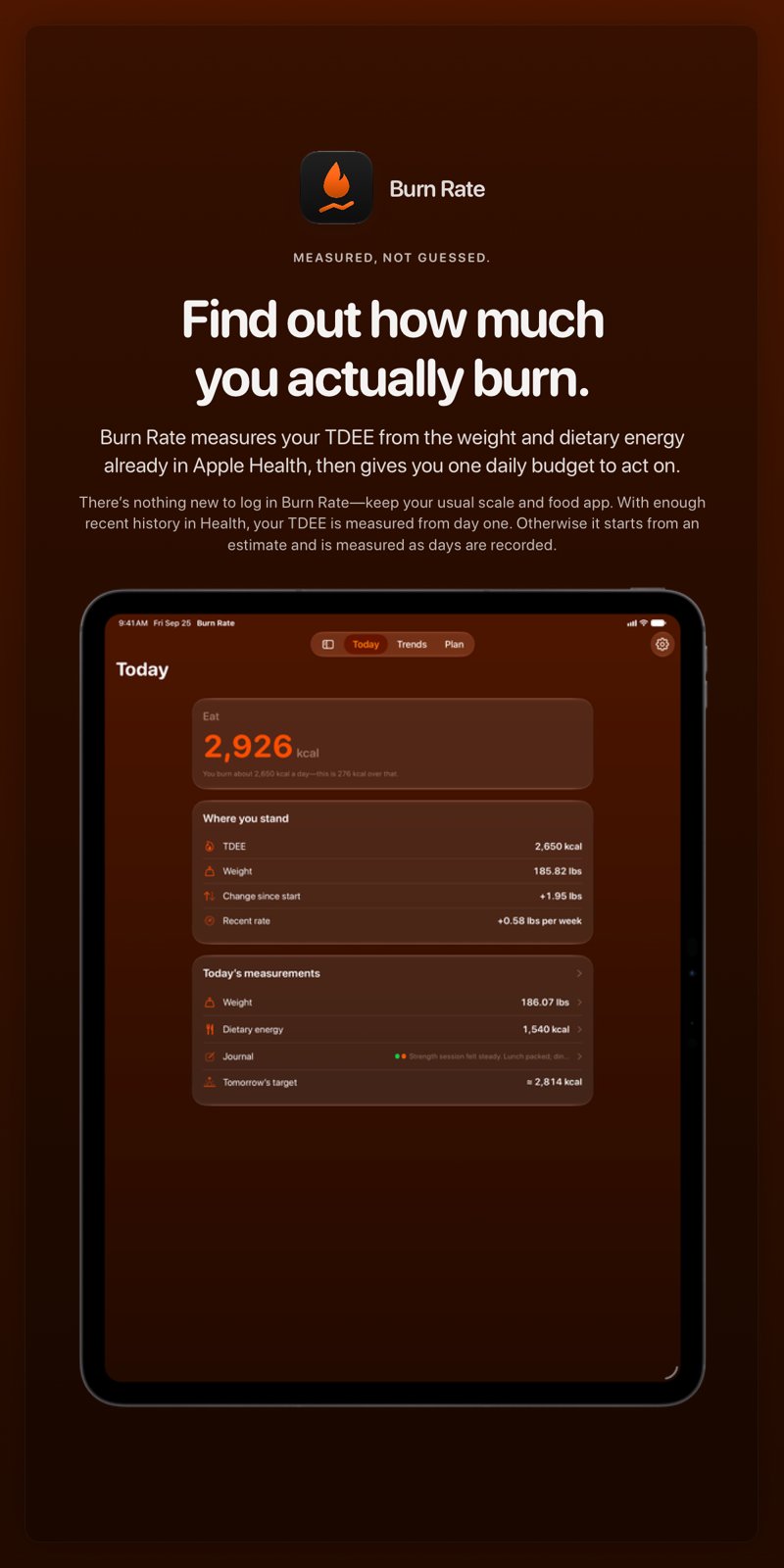 The Burn Rate share image, showing the app on iPad Pro 13-inch with its icon, name and headline for the gain story, in the Orange tint, dark appearance.