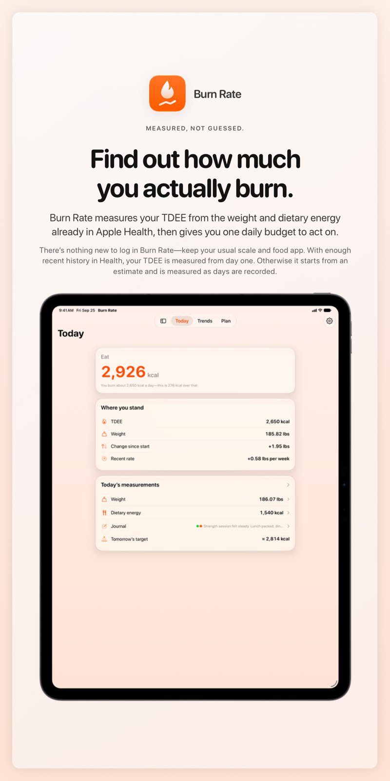 The Burn Rate share image, showing the app on iPad Pro 13-inch with its icon, name and headline for the gain story, in the Orange tint, light appearance.