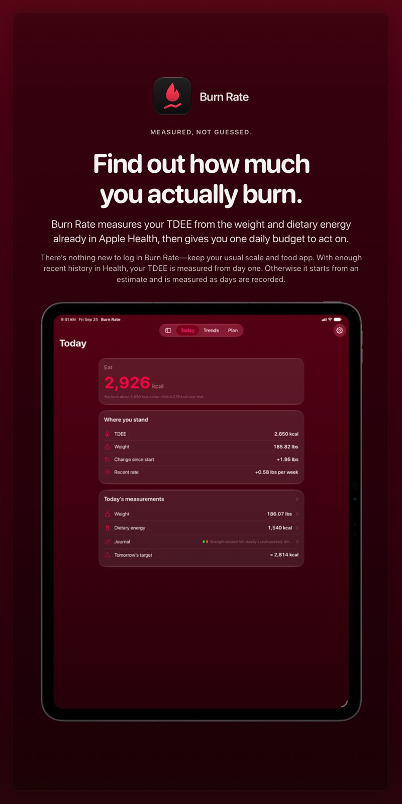 The Burn Rate share image, showing the app on iPad Pro 13-inch with its icon, name and headline for the gain story, in the Pink tint, dark appearance.