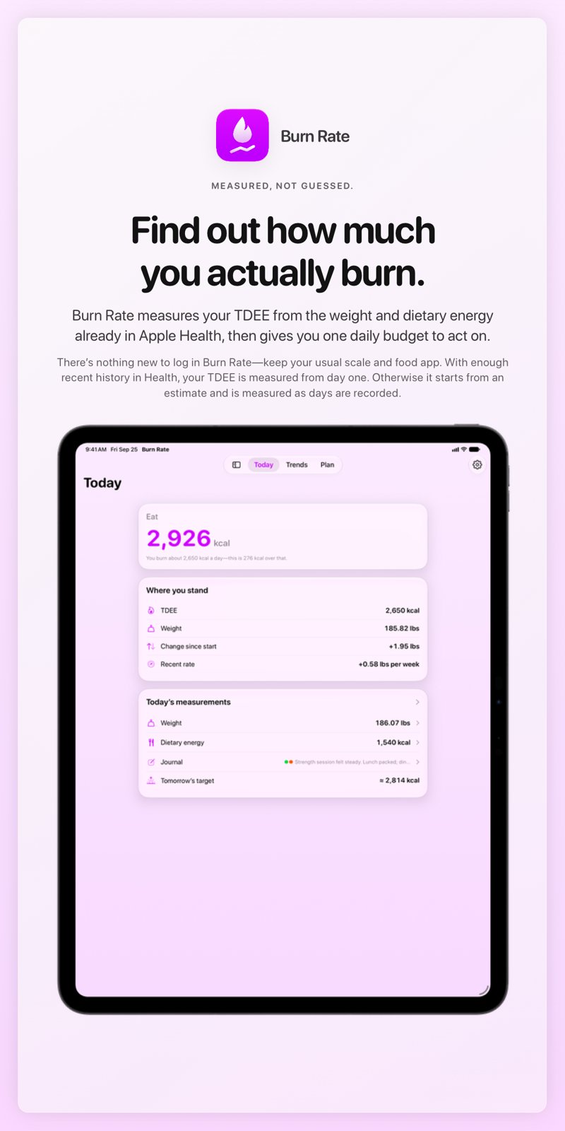 The Burn Rate share image, showing the app on iPad Pro 13-inch with its icon, name and headline for the gain story, in the Purple tint, light appearance.
