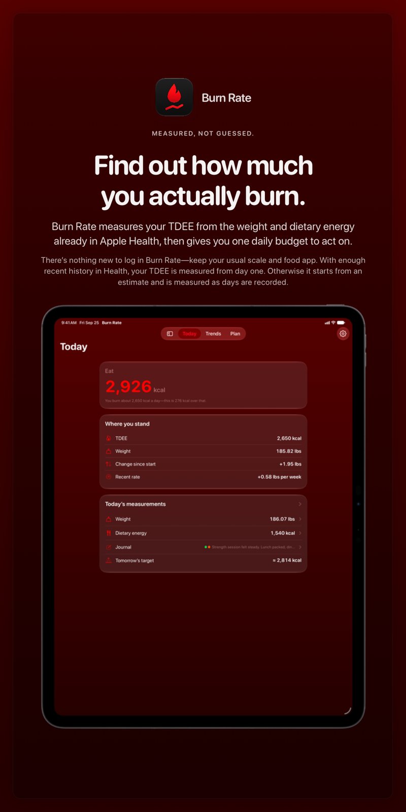 The Burn Rate share image, showing the app on iPad Pro 13-inch with its icon, name and headline for the gain story, in the Red tint, dark appearance.