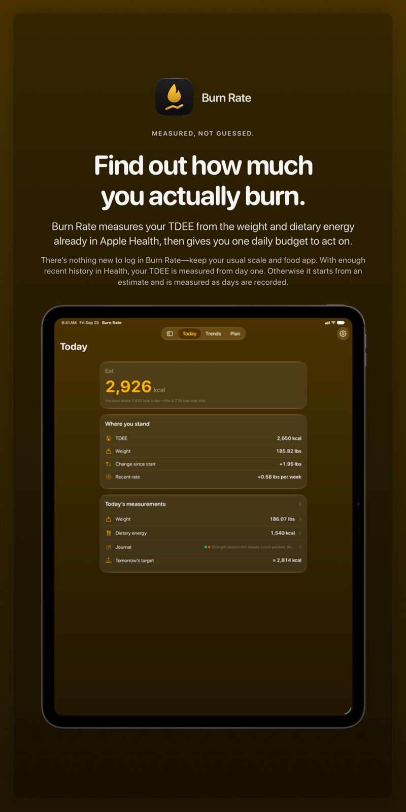 The Burn Rate share image, showing the app on iPad Pro 13-inch with its icon, name and headline for the gain story, in the Yellow tint, dark appearance.