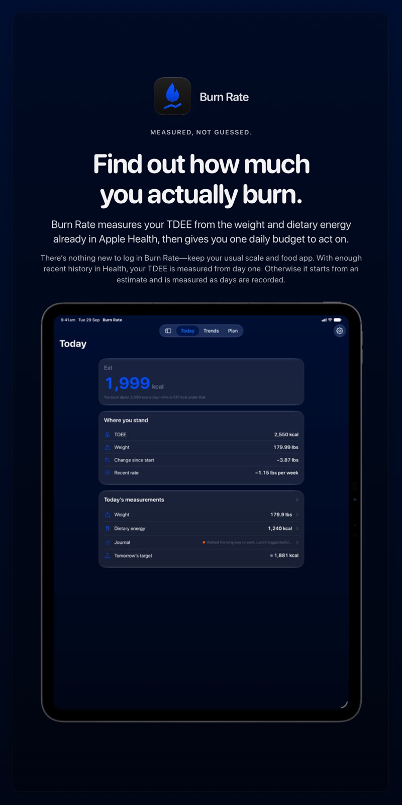 The Burn Rate share image, showing the app on iPad Pro 13-inch with its icon, name and headline for the loss story, in the Blue tint, dark appearance.