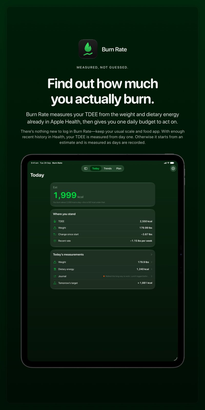 The Burn Rate share image, showing the app on iPad Pro 13-inch with its icon, name and headline for the loss story, in the Green tint, dark appearance.