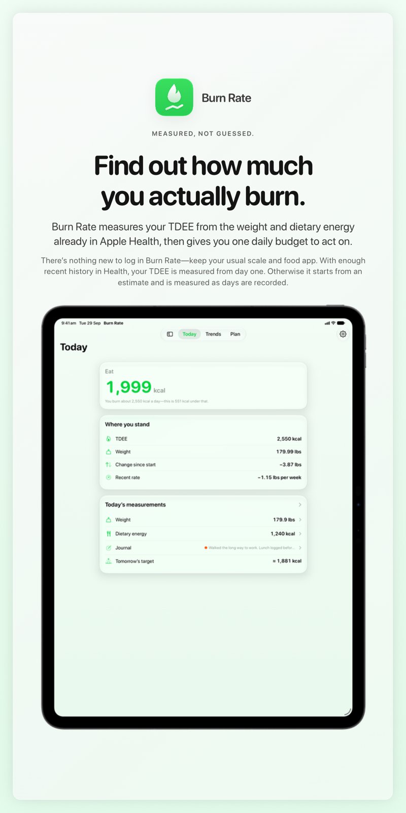 The Burn Rate share image, showing the app on iPad Pro 13-inch with its icon, name and headline for the loss story, in the Green tint, light appearance.
