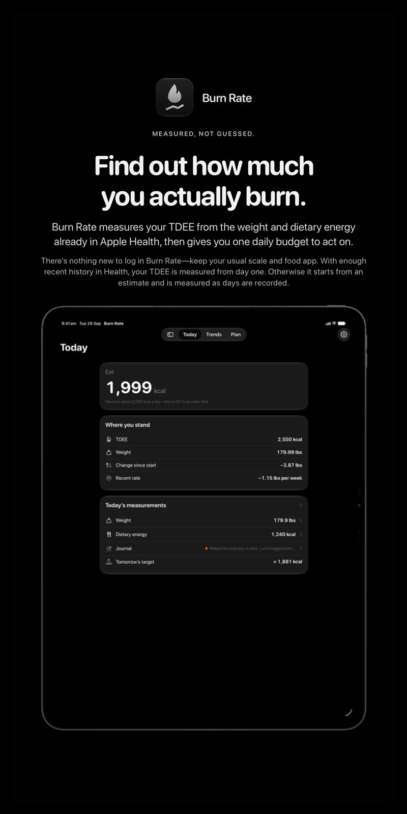The Burn Rate share image, showing the app on iPad Pro 13-inch with its icon, name and headline for the loss story, in the Grey tint, dark appearance.