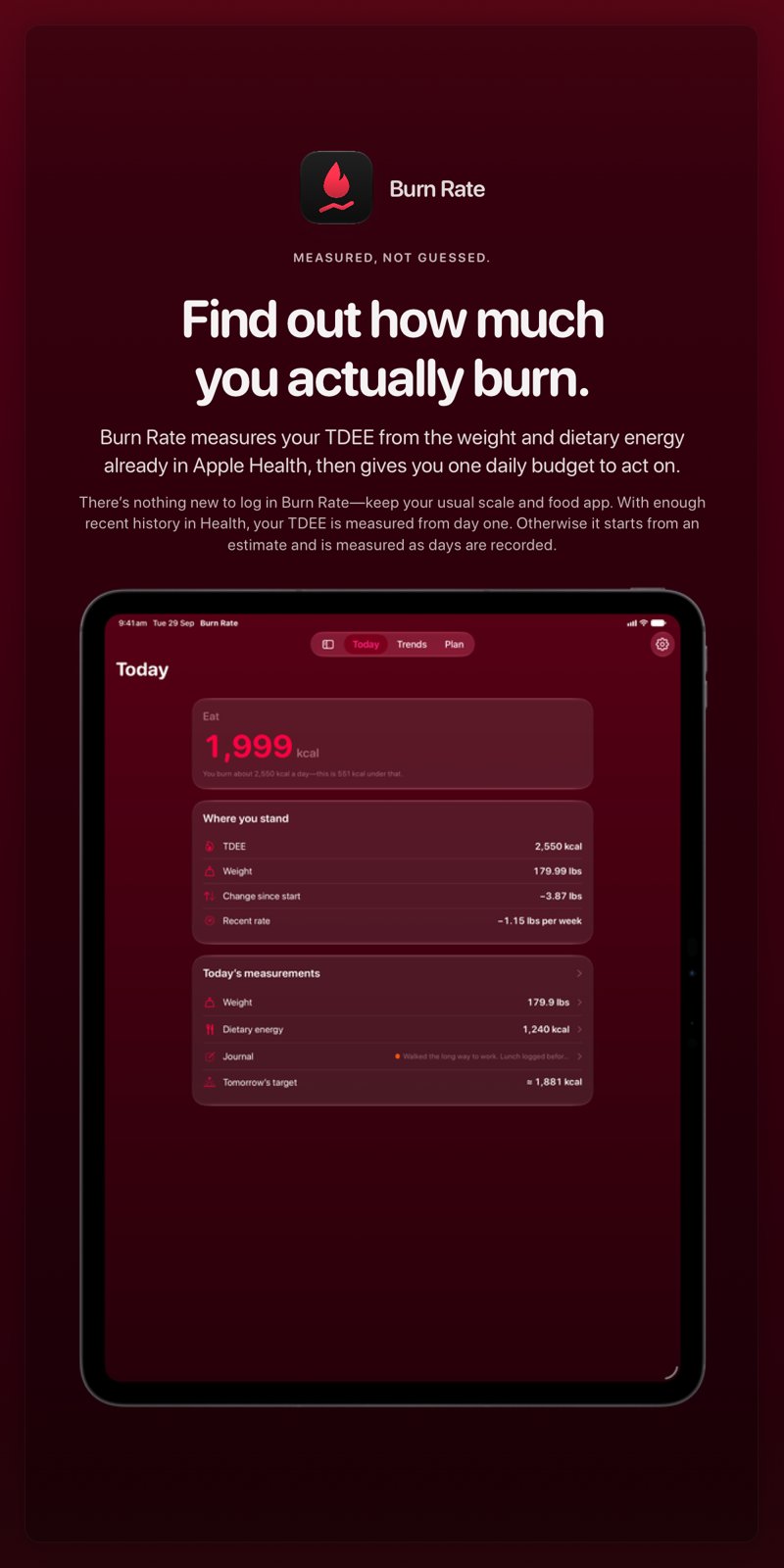The Burn Rate share image, showing the app on iPad Pro 13-inch with its icon, name and headline for the loss story, in the Pink tint, dark appearance.