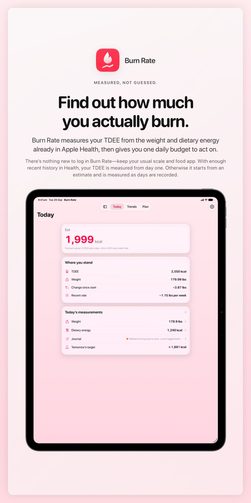 The Burn Rate share image, showing the app on iPad Pro 13-inch with its icon, name and headline for the loss story, in the Pink tint, light appearance.