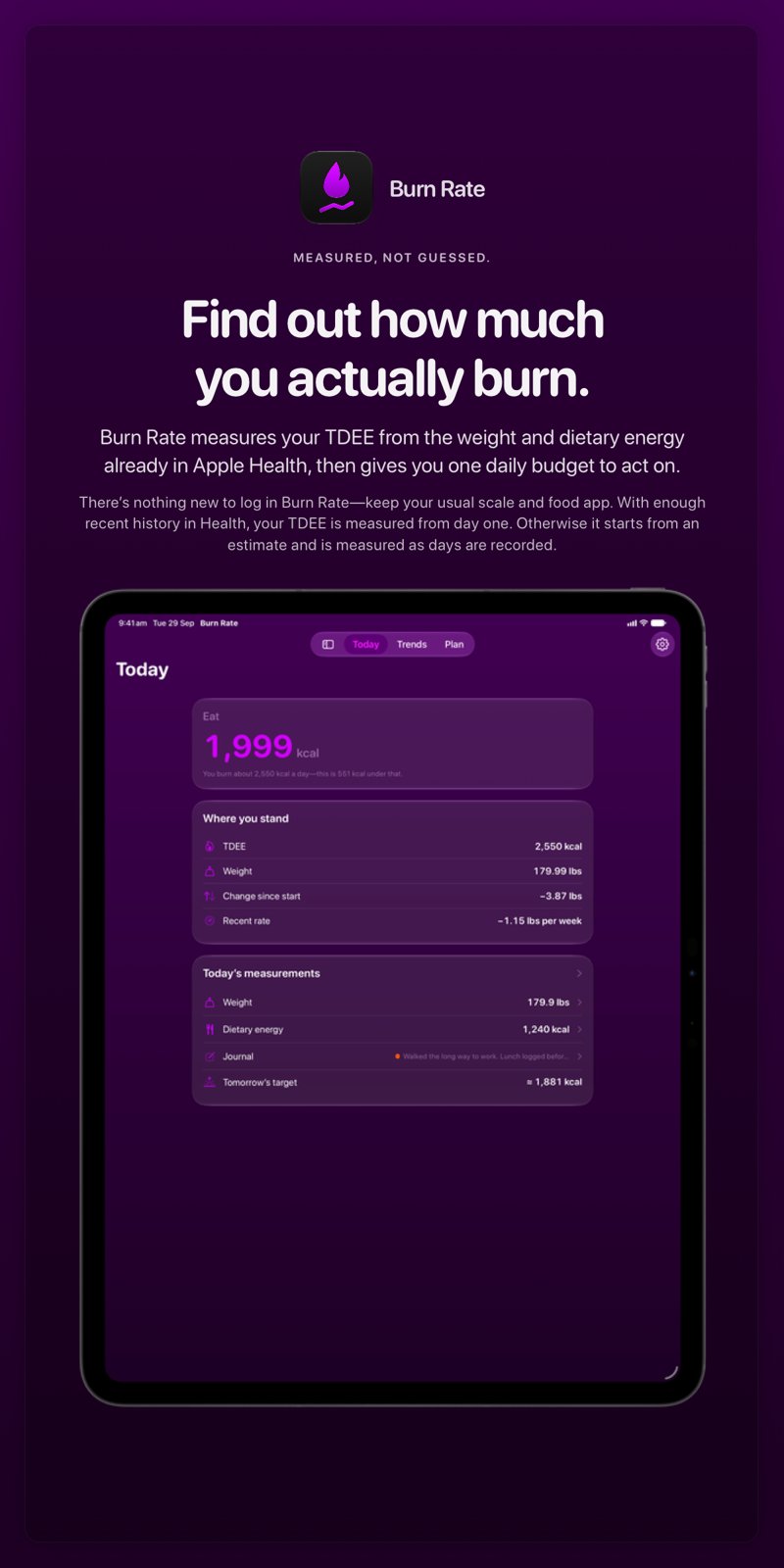 The Burn Rate share image, showing the app on iPad Pro 13-inch with its icon, name and headline for the loss story, in the Purple tint, dark appearance.