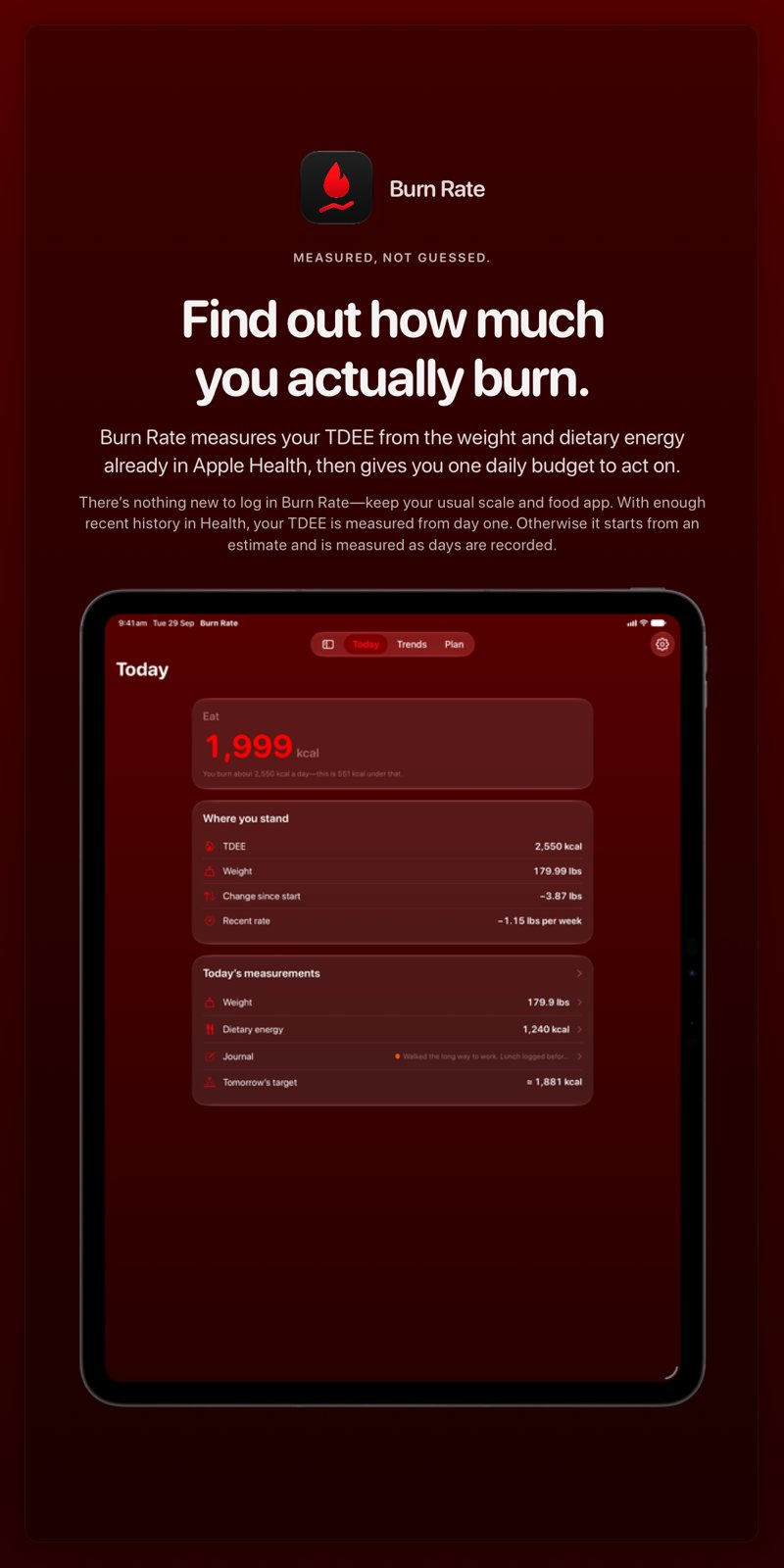 The Burn Rate share image, showing the app on iPad Pro 13-inch with its icon, name and headline for the loss story, in the Red tint, dark appearance.