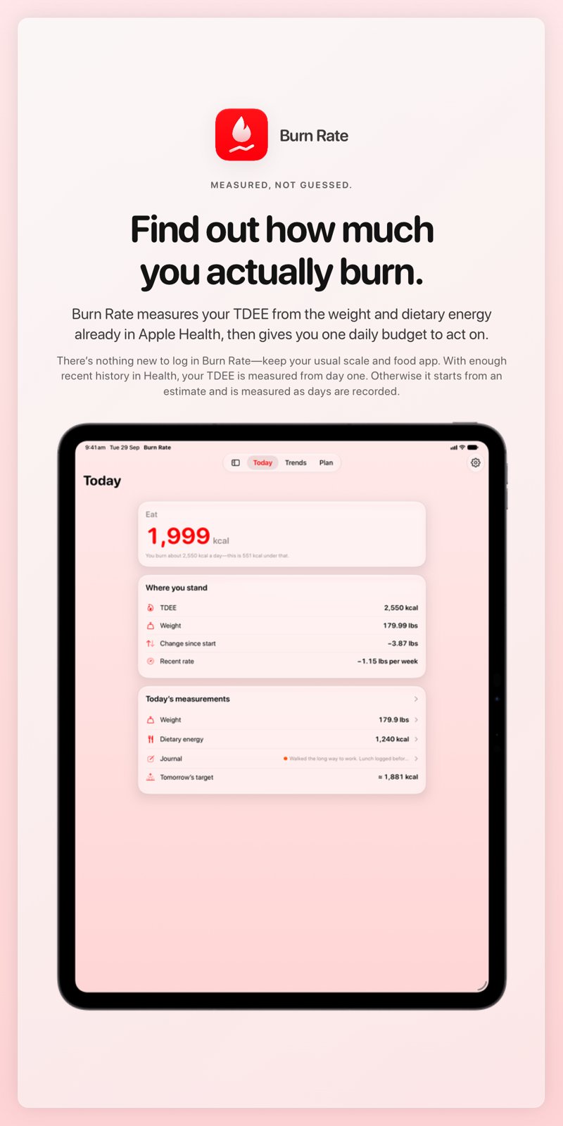The Burn Rate share image, showing the app on iPad Pro 13-inch with its icon, name and headline for the loss story, in the Red tint, light appearance.