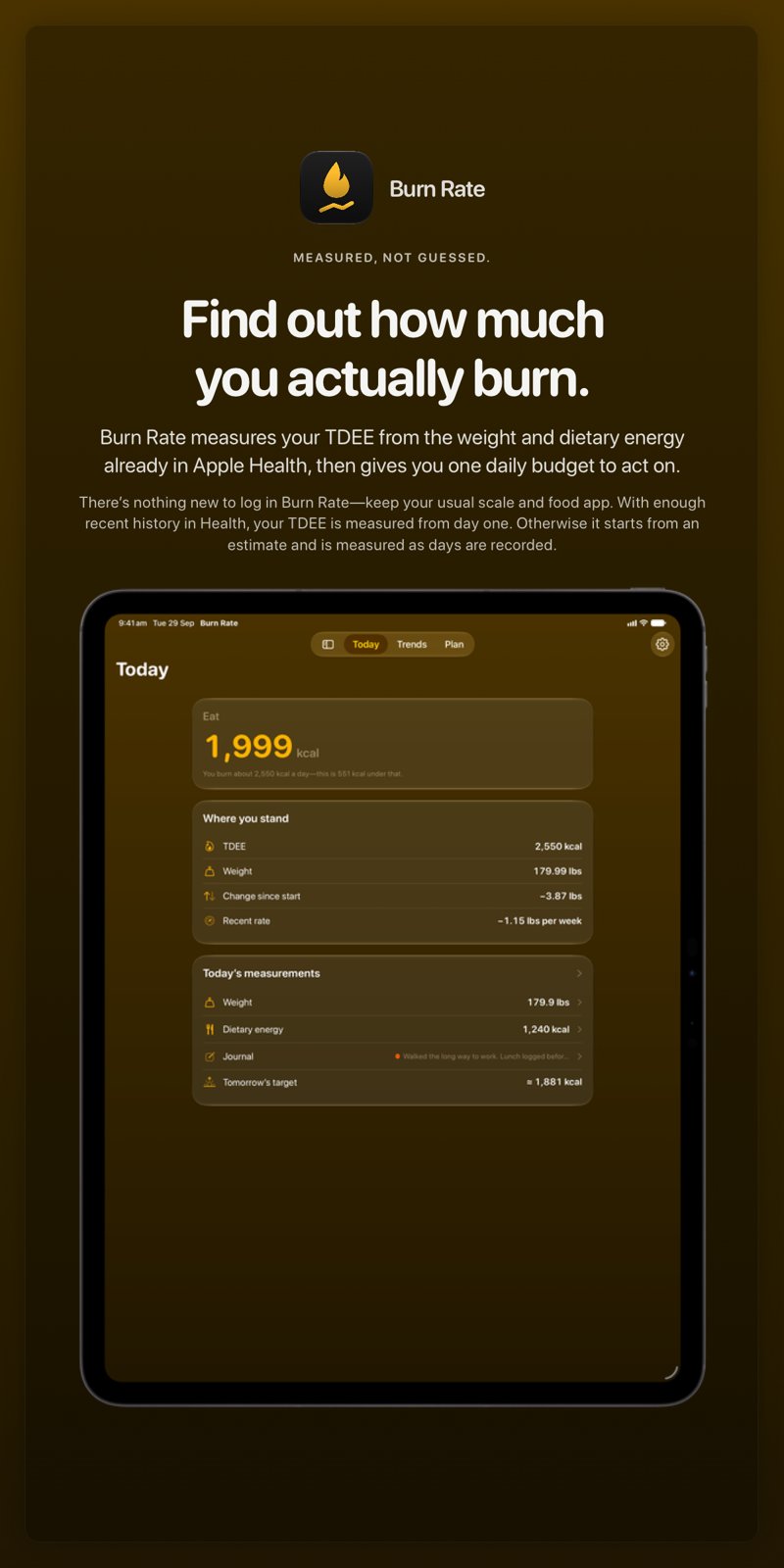 The Burn Rate share image, showing the app on iPad Pro 13-inch with its icon, name and headline for the loss story, in the Yellow tint, dark appearance.