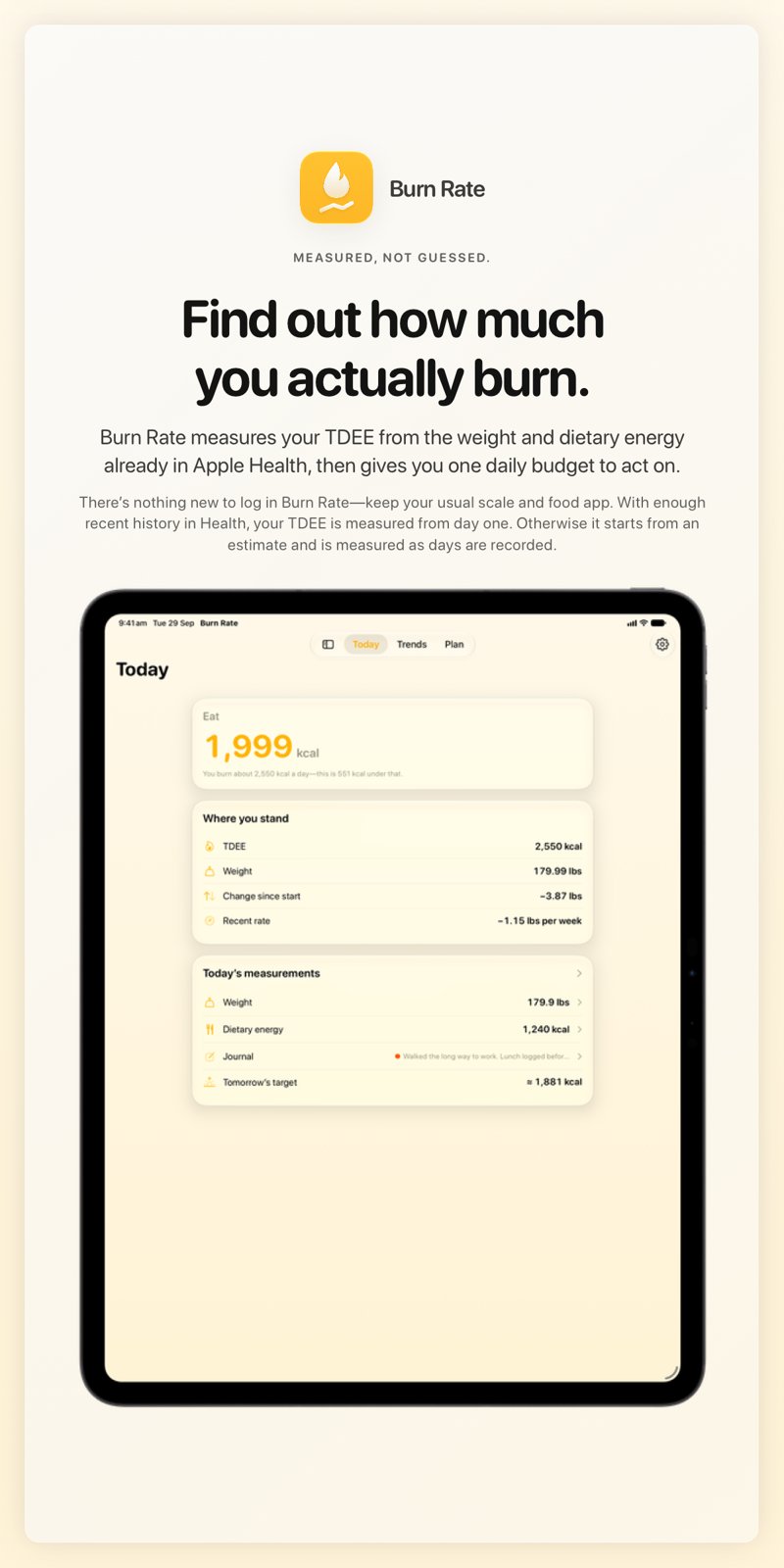 The Burn Rate share image, showing the app on iPad Pro 13-inch with its icon, name and headline for the loss story, in the Yellow tint, light appearance.