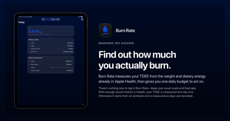 The Burn Rate share image, showing the app on iPad Pro 13-inch with its icon, name and headline for the gain story, in the Blue tint, dark appearance.