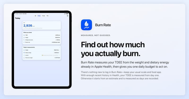 The Burn Rate share image, showing the app on iPad Pro 13-inch with its icon, name and headline for the gain story, in the Blue tint, light appearance.