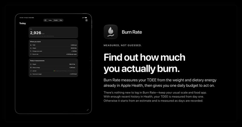 The Burn Rate share image, showing the app on iPad Pro 13-inch with its icon, name and headline for the gain story, in the Grey tint, dark appearance.