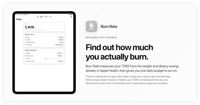 The Burn Rate share image, showing the app on iPad Pro 13-inch with its icon, name and headline for the gain story, in the Grey tint, light appearance.