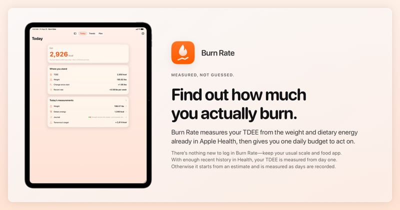 The Burn Rate share image, showing the app on iPad Pro 13-inch with its icon, name and headline for the gain story, in the Orange tint, light appearance.