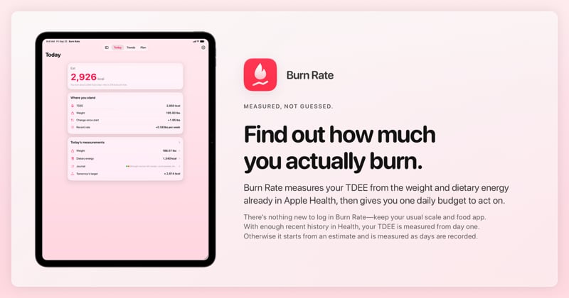 The Burn Rate share image, showing the app on iPad Pro 13-inch with its icon, name and headline for the gain story, in the Pink tint, light appearance.