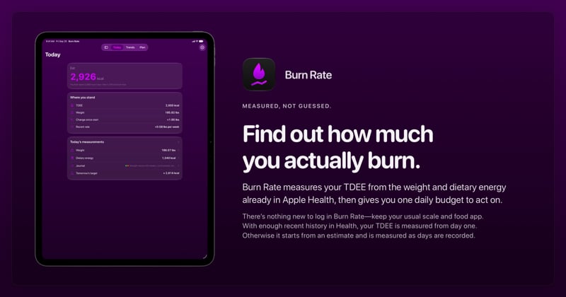 The Burn Rate share image, showing the app on iPad Pro 13-inch with its icon, name and headline for the gain story, in the Purple tint, dark appearance.