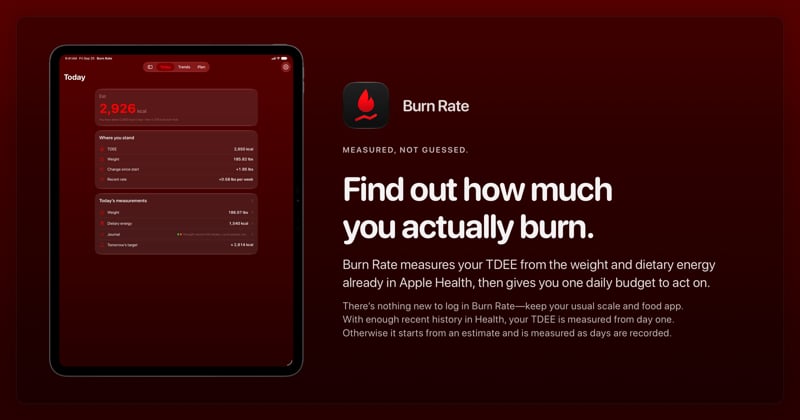 The Burn Rate share image, showing the app on iPad Pro 13-inch with its icon, name and headline for the gain story, in the Red tint, dark appearance.