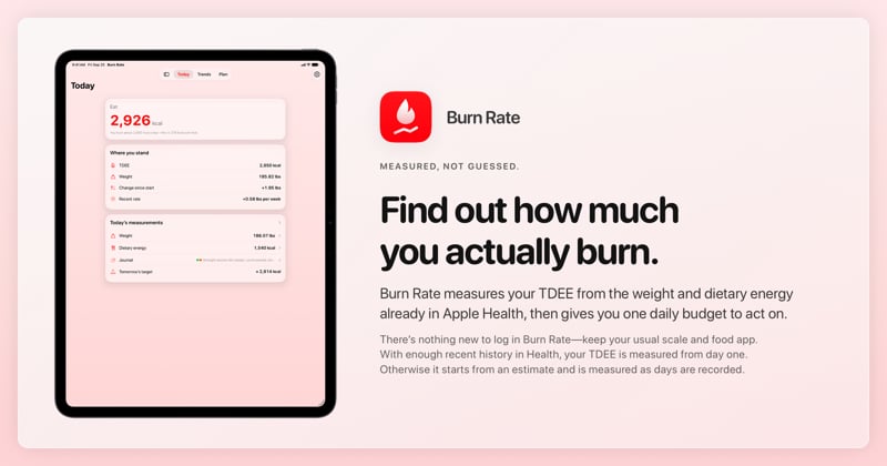 The Burn Rate share image, showing the app on iPad Pro 13-inch with its icon, name and headline for the gain story, in the Red tint, light appearance.