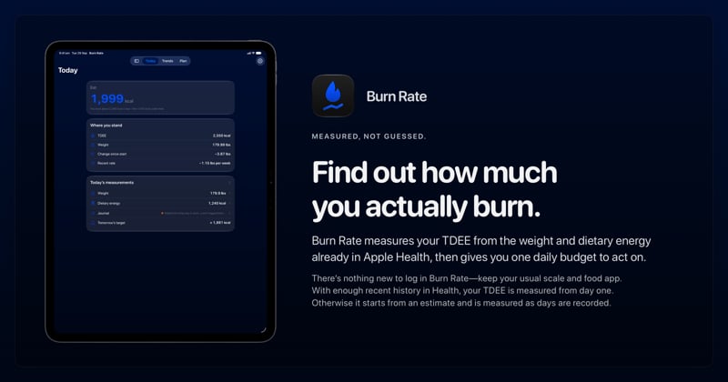 The Burn Rate share image, showing the app on iPad Pro 13-inch with its icon, name and headline for the loss story, in the Blue tint, dark appearance.