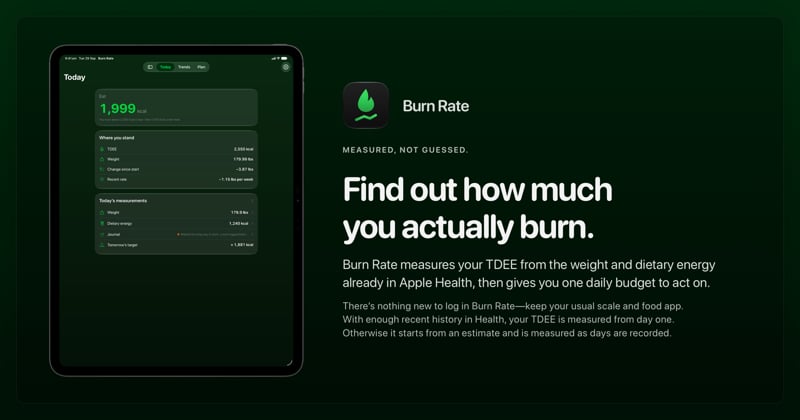 The Burn Rate share image, showing the app on iPad Pro 13-inch with its icon, name and headline for the loss story, in the Green tint, dark appearance.