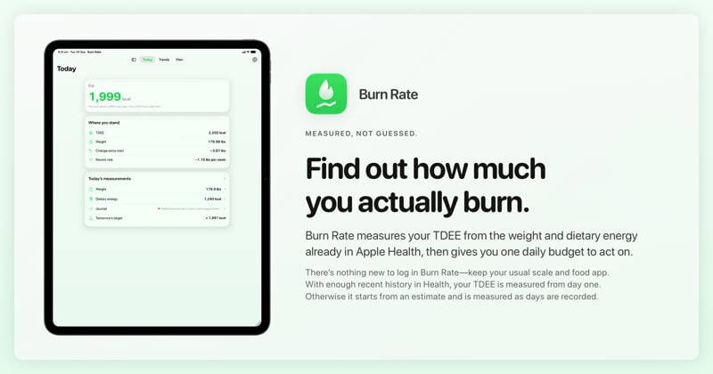 The Burn Rate share image, showing the app on iPad Pro 13-inch with its icon, name and headline for the loss story, in the Green tint, light appearance.