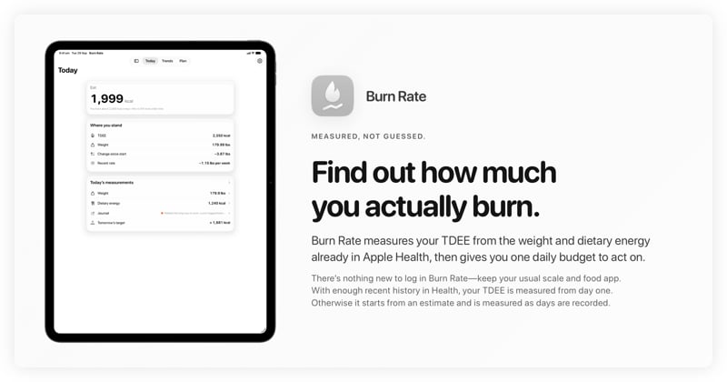 The Burn Rate share image, showing the app on iPad Pro 13-inch with its icon, name and headline for the loss story, in the Grey tint, light appearance.