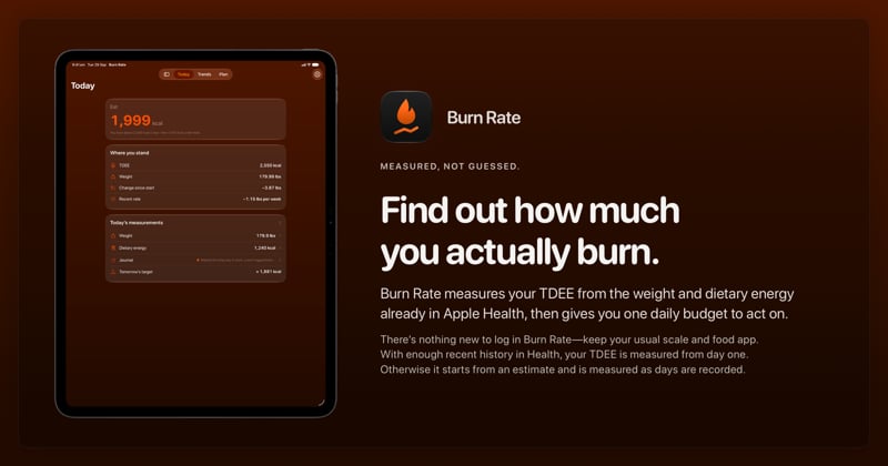 The Burn Rate share image, showing the app on iPad Pro 13-inch with its icon, name and headline for the loss story, in the Orange tint, dark appearance.