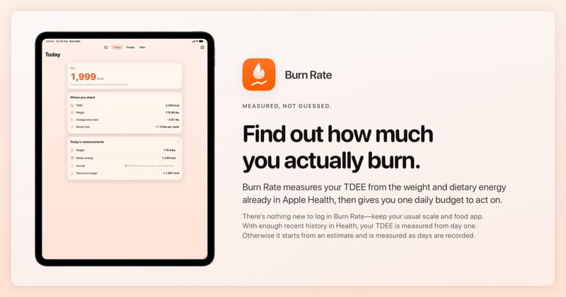 The Burn Rate share image, showing the app on iPad Pro 13-inch with its icon, name and headline for the loss story, in the Orange tint, light appearance.