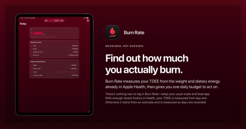 The Burn Rate share image, showing the app on iPad Pro 13-inch with its icon, name and headline for the loss story, in the Pink tint, dark appearance.
