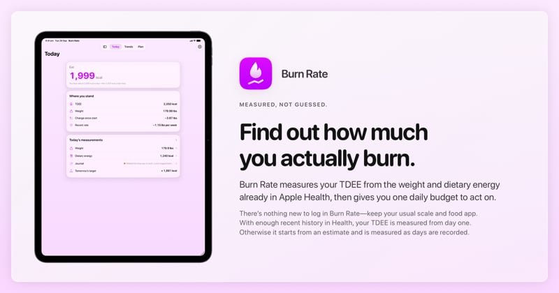 The Burn Rate share image, showing the app on iPad Pro 13-inch with its icon, name and headline for the loss story, in the Purple tint, light appearance.