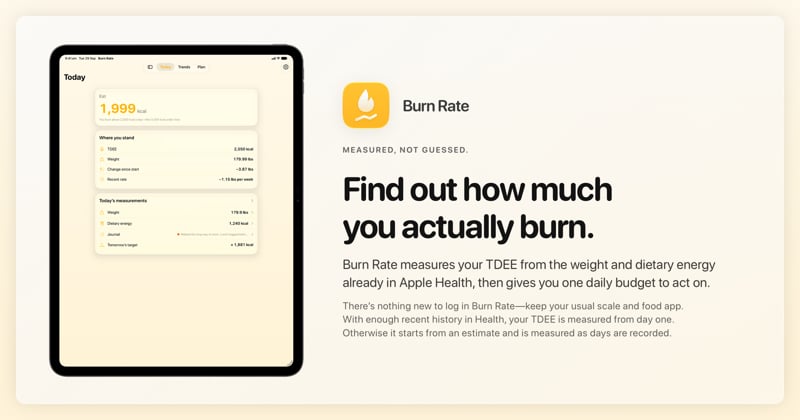 The Burn Rate share image, showing the app on iPad Pro 13-inch with its icon, name and headline for the loss story, in the Yellow tint, light appearance.