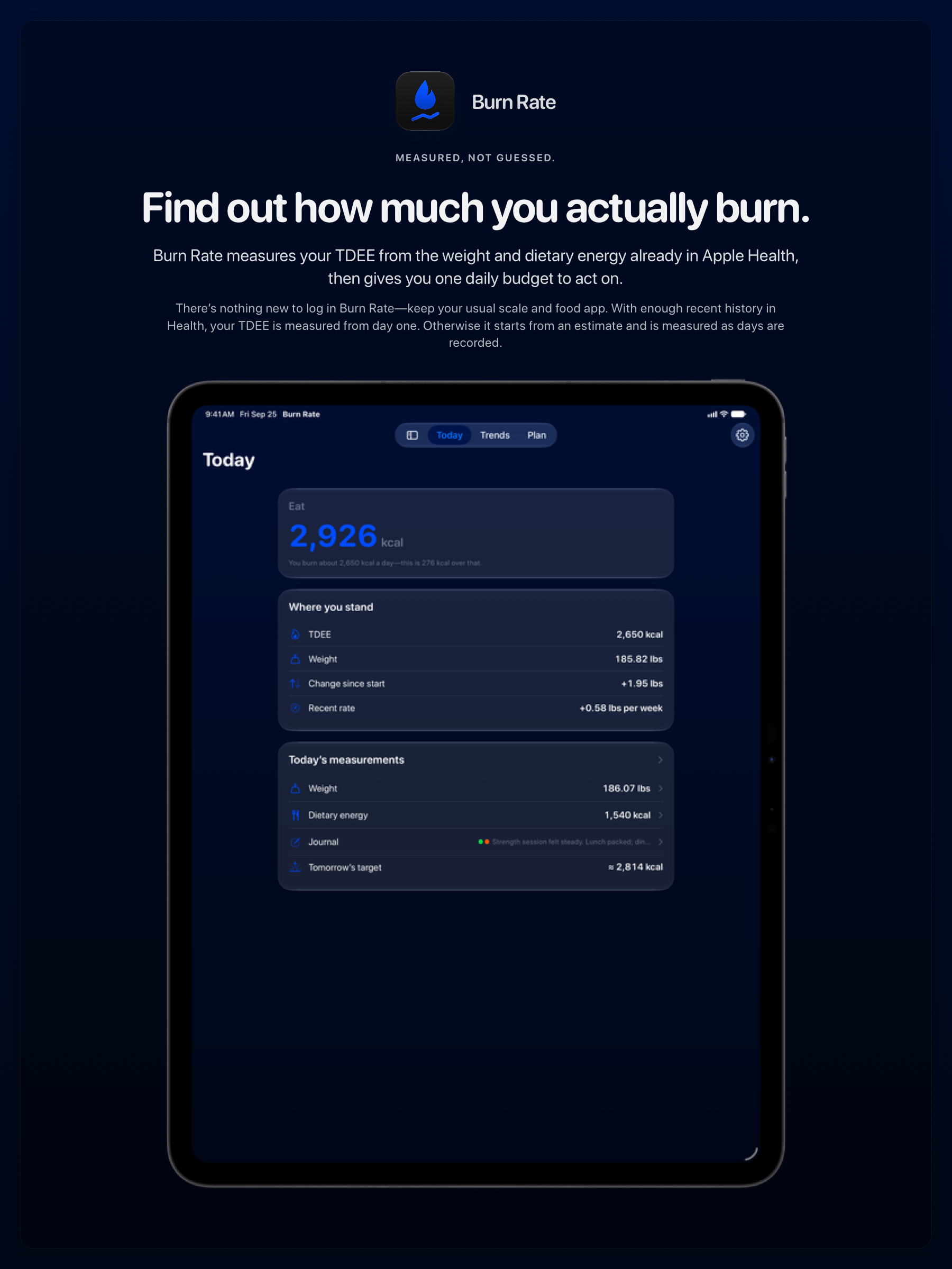 The Burn Rate share image, showing the app on iPad Pro 13-inch with its icon, name and headline for the gain story, in the Blue tint, dark appearance.