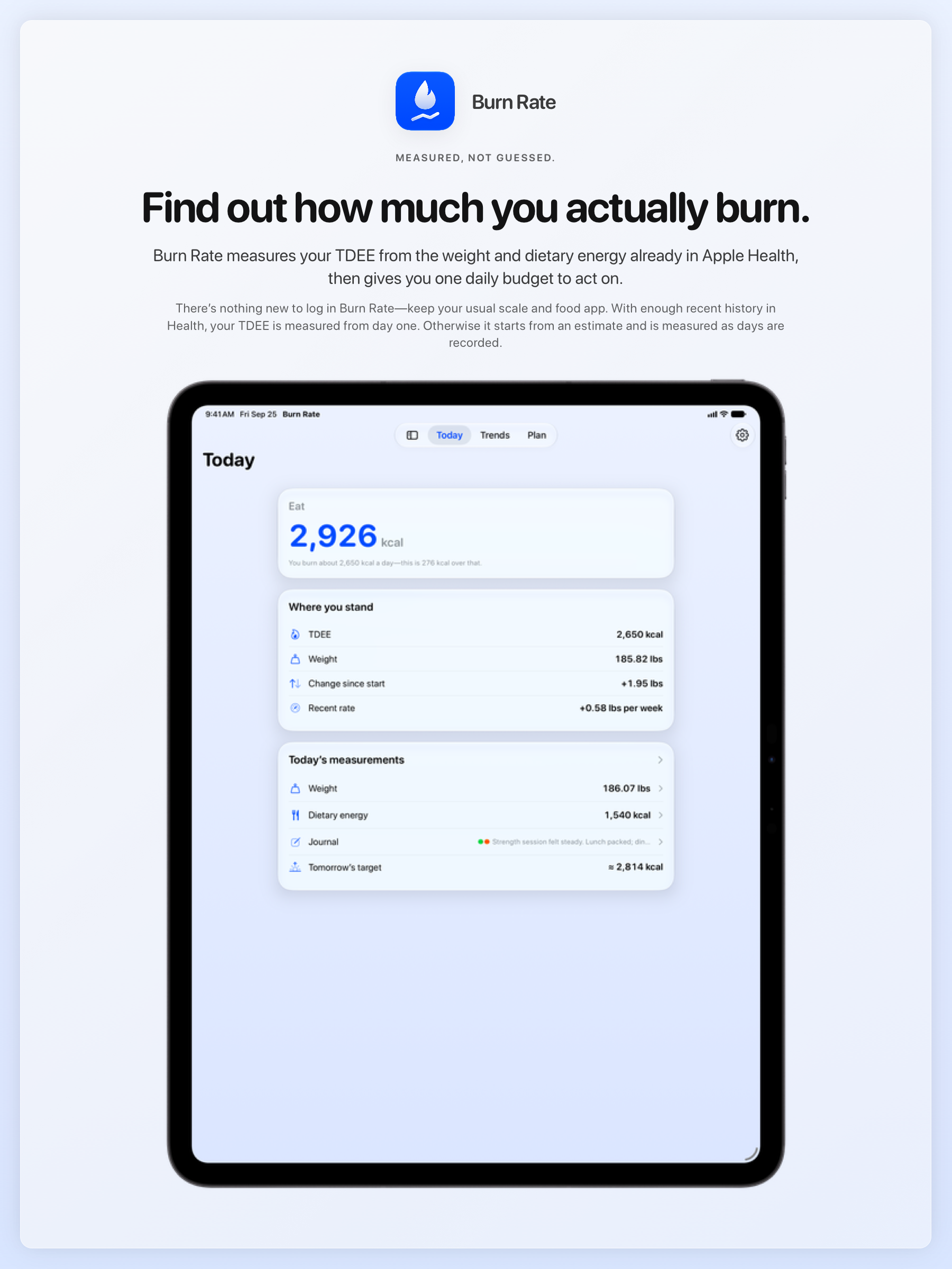 The Burn Rate share image, showing the app on iPad Pro 13-inch with its icon, name and headline for the gain story, in the Blue tint, light appearance.