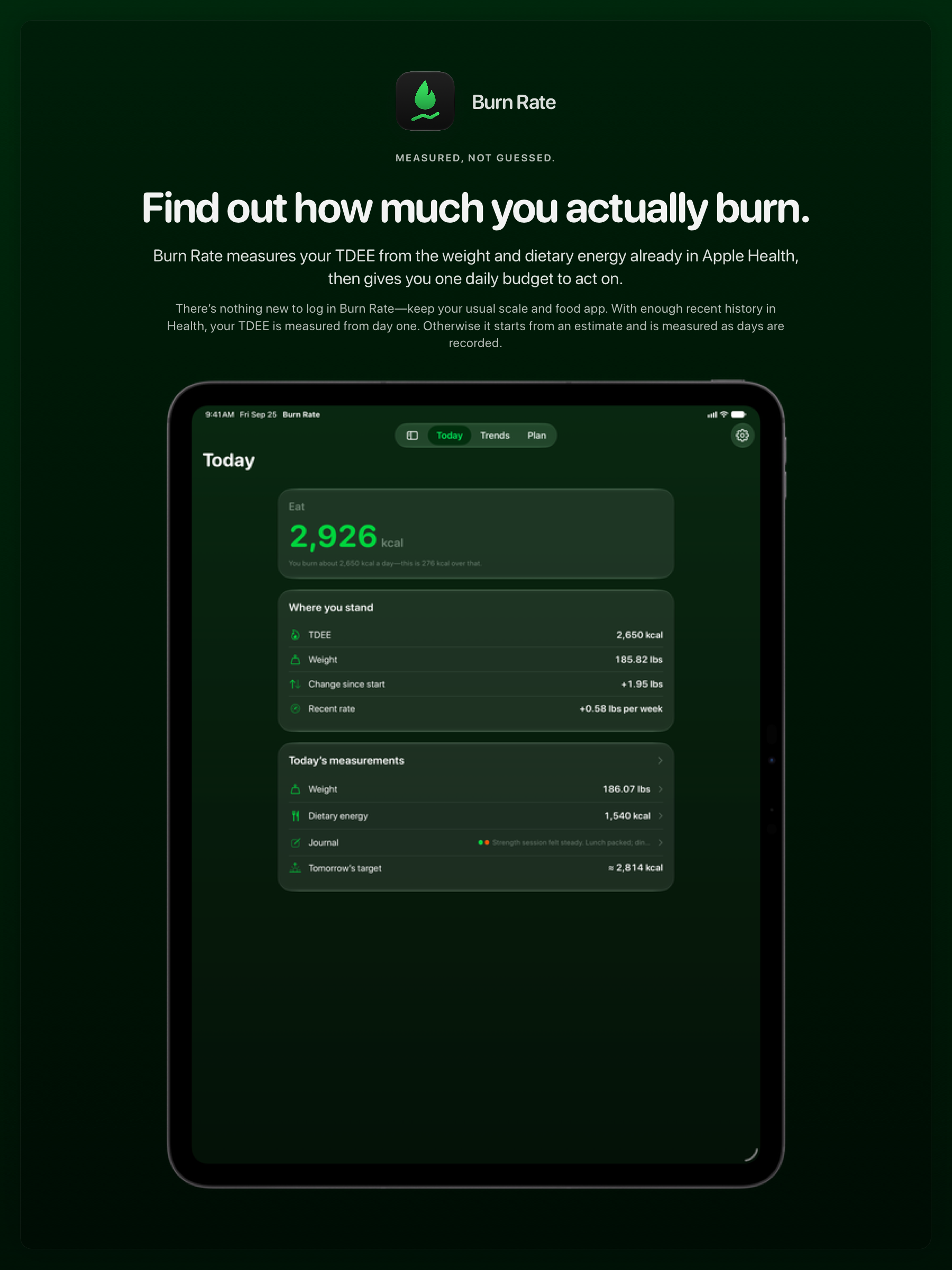 The Burn Rate share image, showing the app on iPad Pro 13-inch with its icon, name and headline for the gain story, in the Green tint, dark appearance.