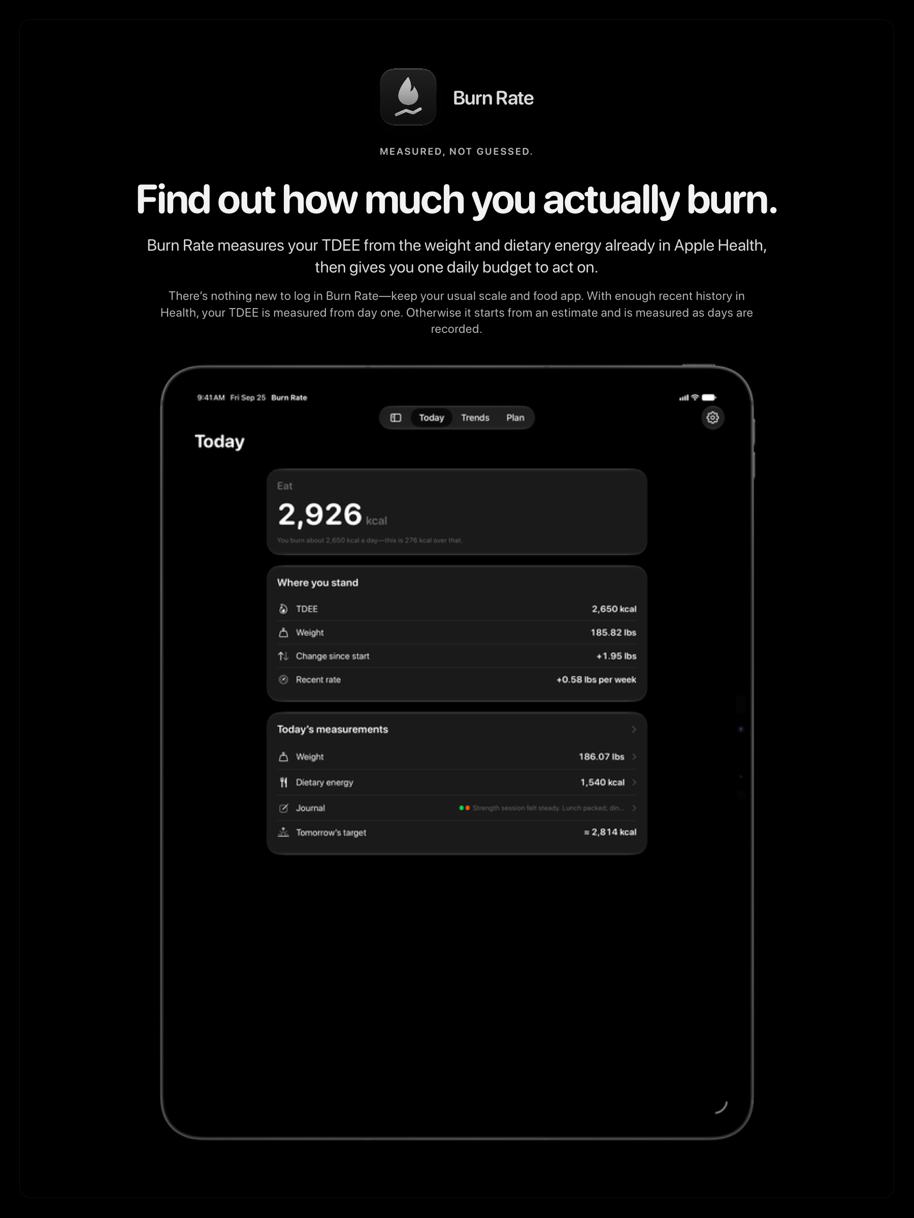 The Burn Rate share image, showing the app on iPad Pro 13-inch with its icon, name and headline for the gain story, in the Grey tint, dark appearance.