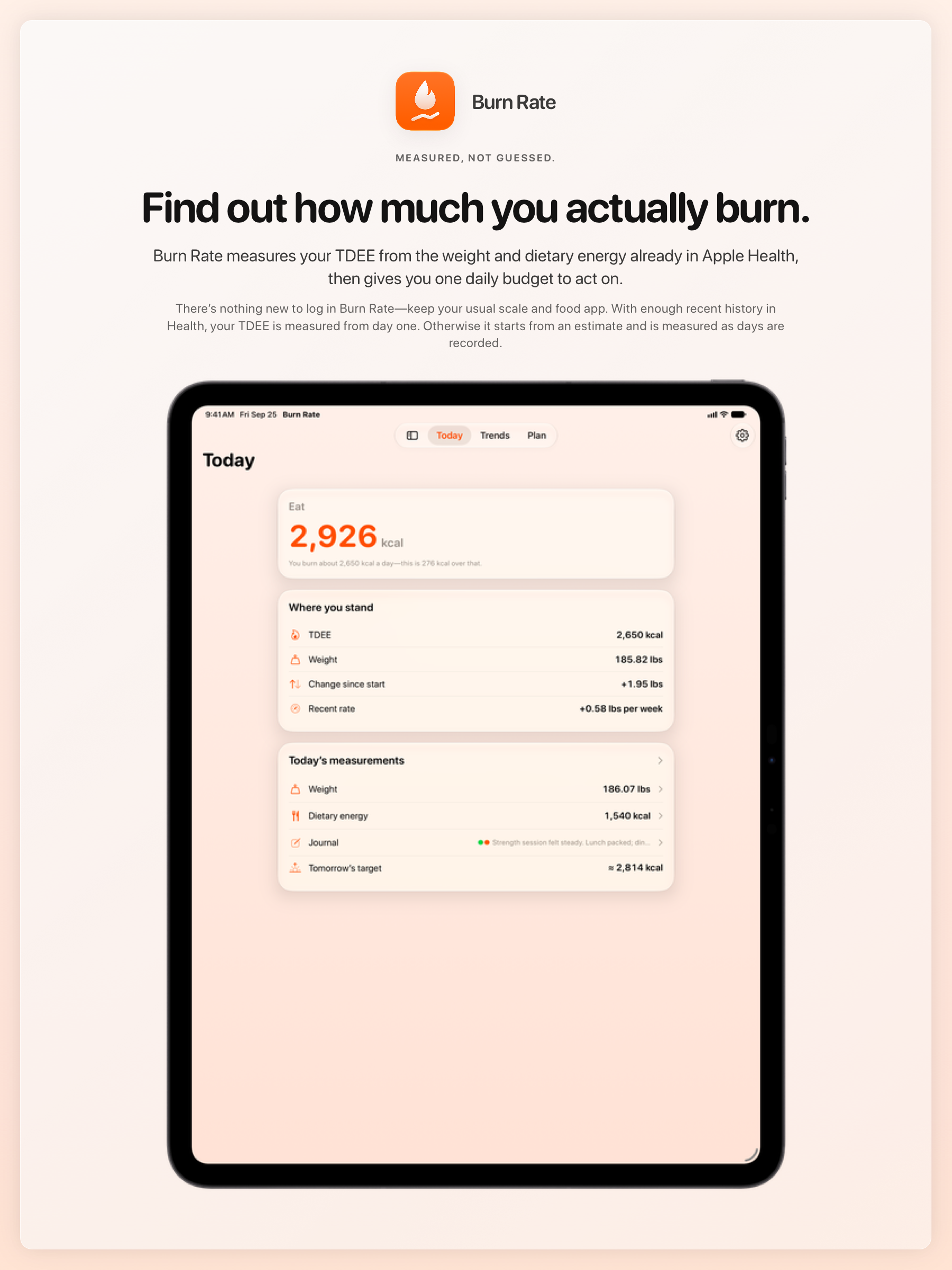 The Burn Rate share image, showing the app on iPad Pro 13-inch with its icon, name and headline for the gain story, in the Orange tint, light appearance.